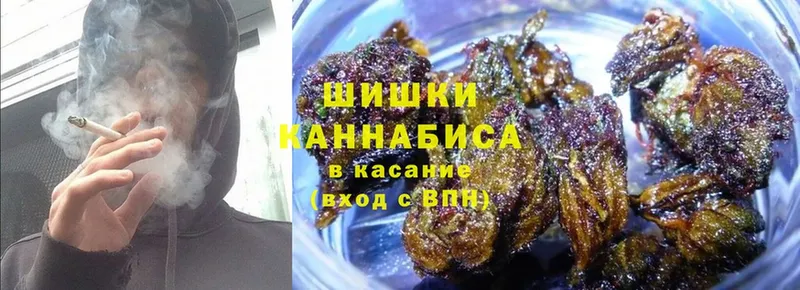 Марихуана Bruce Banner  ссылка на мегу зеркало  Соликамск 